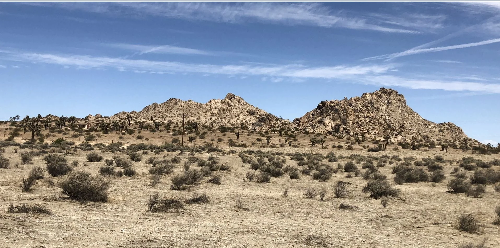 Capture.JPG cbcvbcvcv.JPG