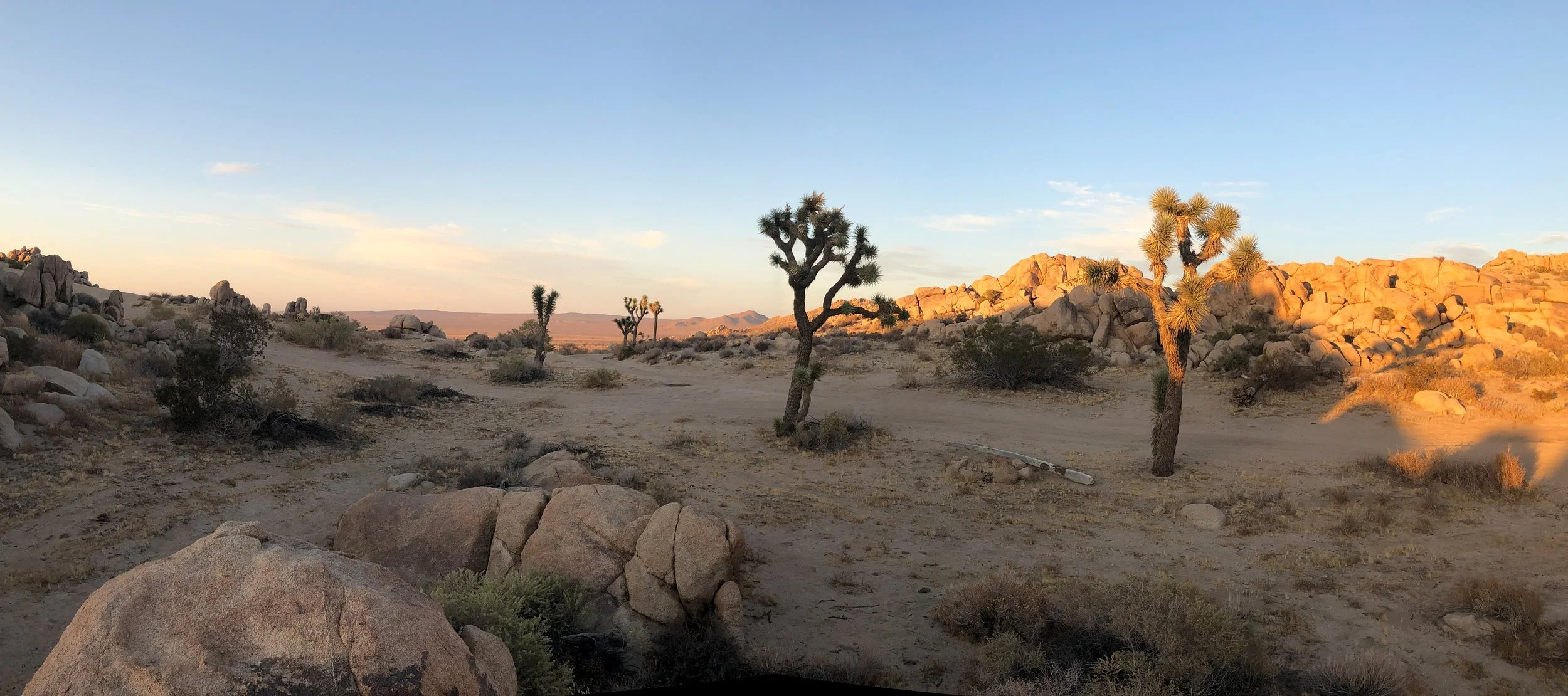 IMG_4412 Panorama.jpg