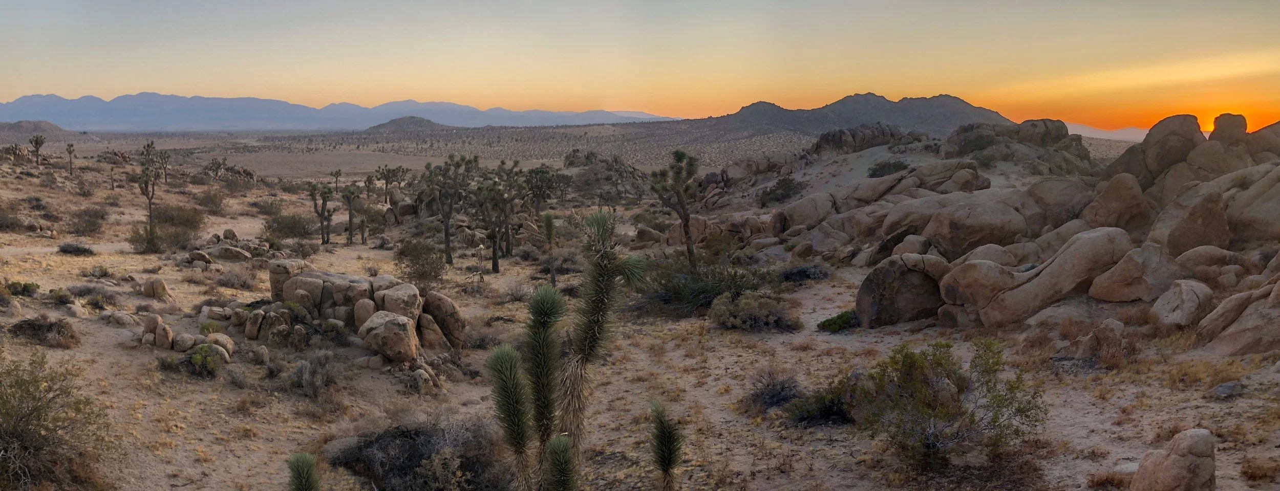 IMG_4446 Panorama.jpg