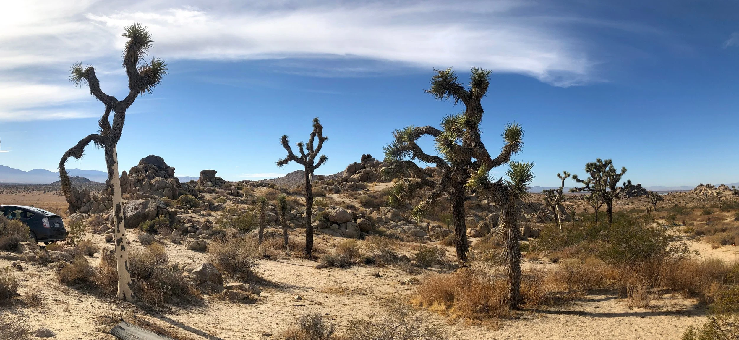 IMG_2221-Panorama.jpg