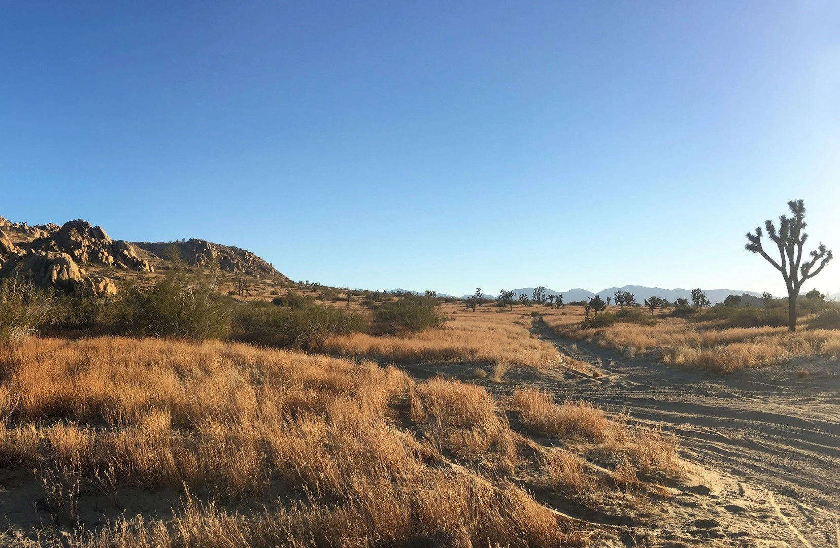 IMG_4212-Panorama7.jpg