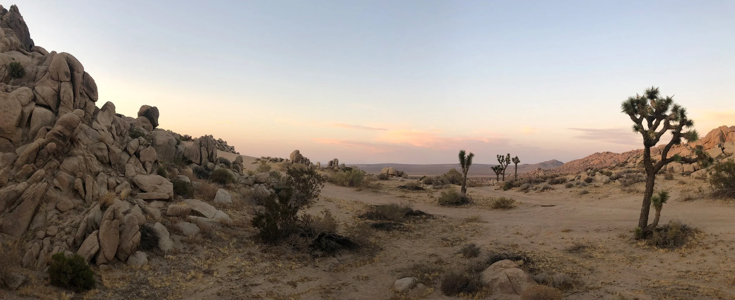 IMG_4435 Panorama.jpg