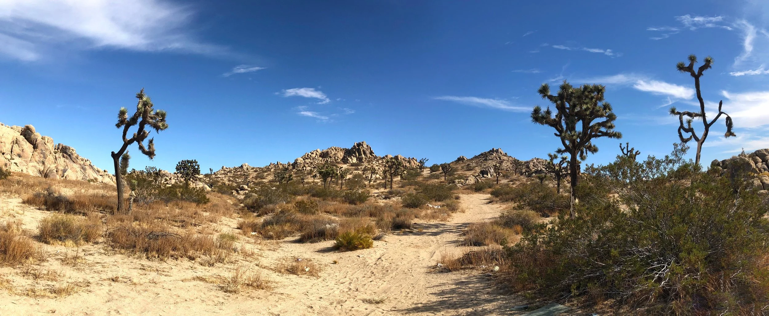 IMG_2249-Panorama.jpg