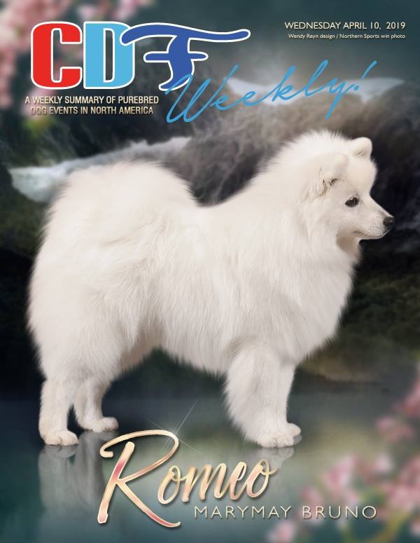 romeo2.jpeg
