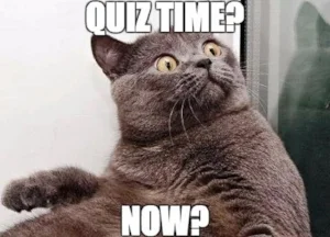 quiz.jpg