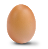 #5 Large Egg