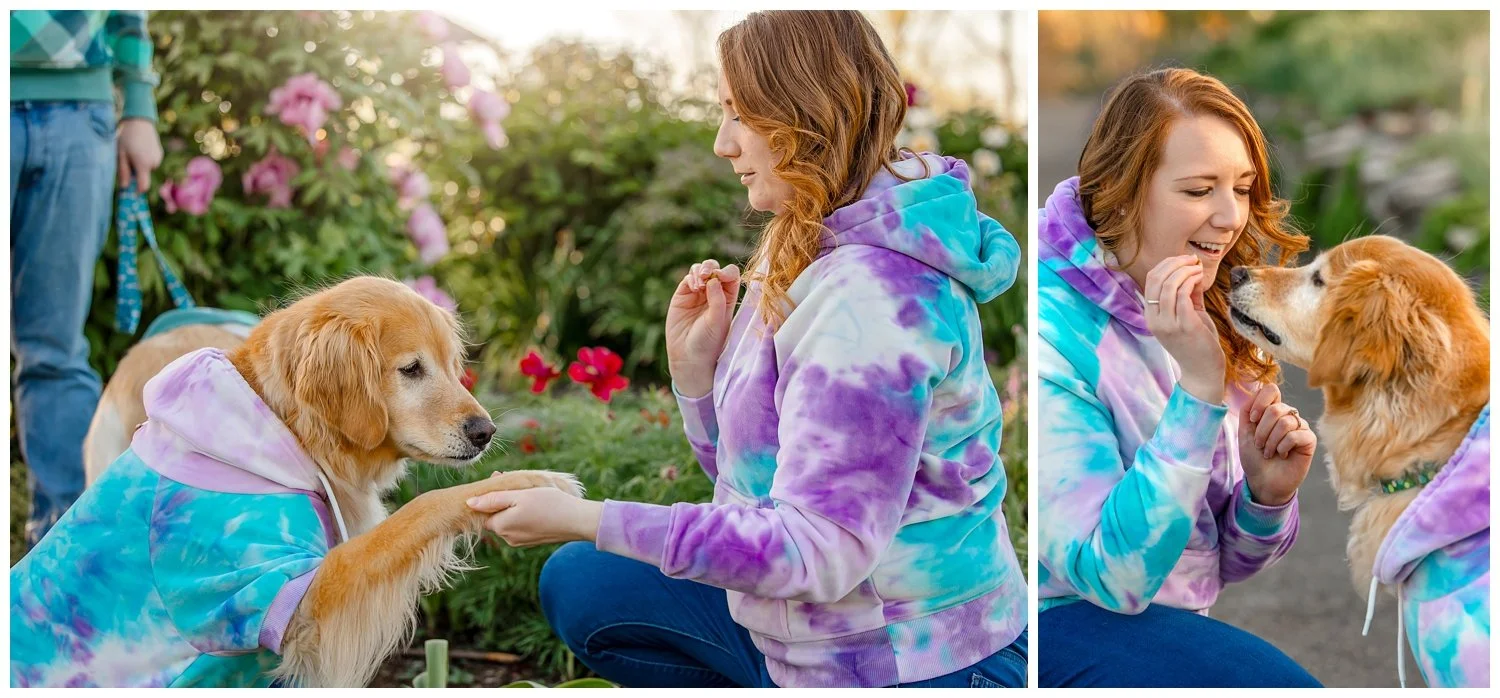 Pet Photography with SparkPaws in Dayton OH at Cox Arboretum