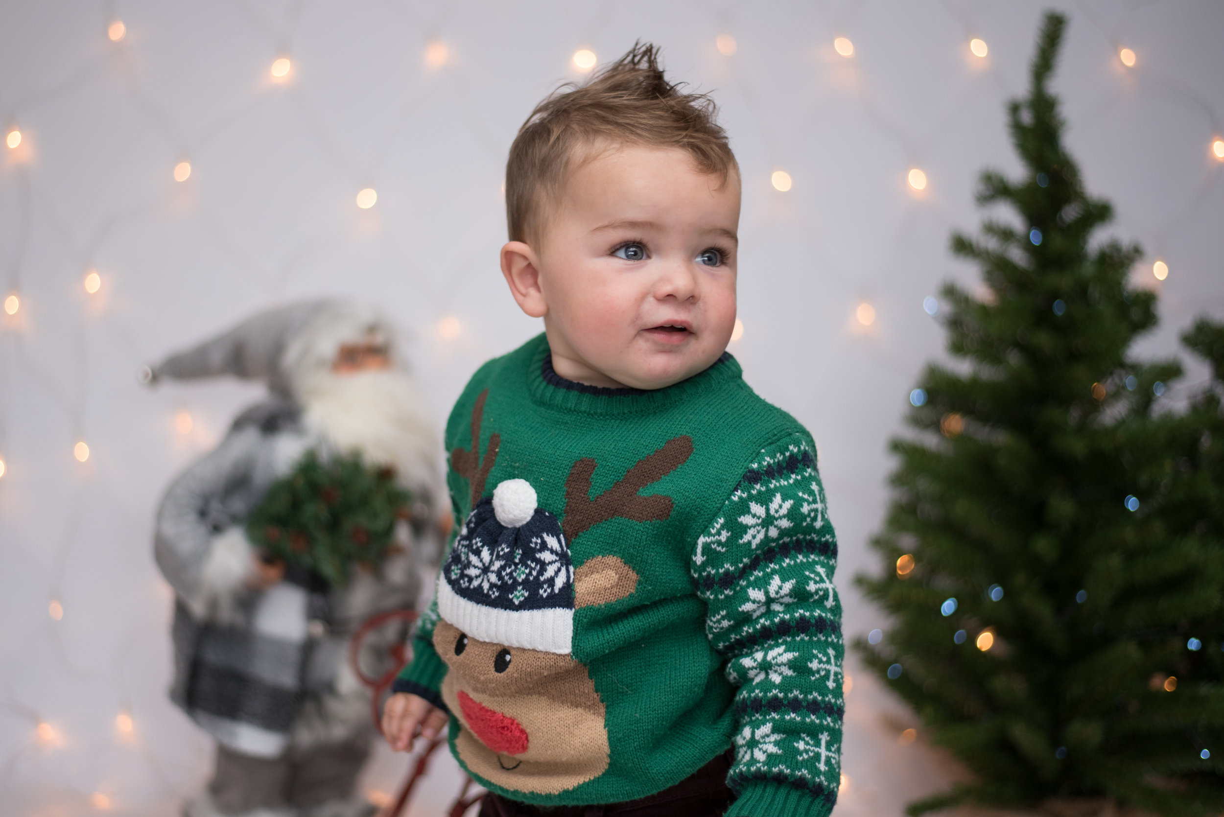 Alfie (9).jpg