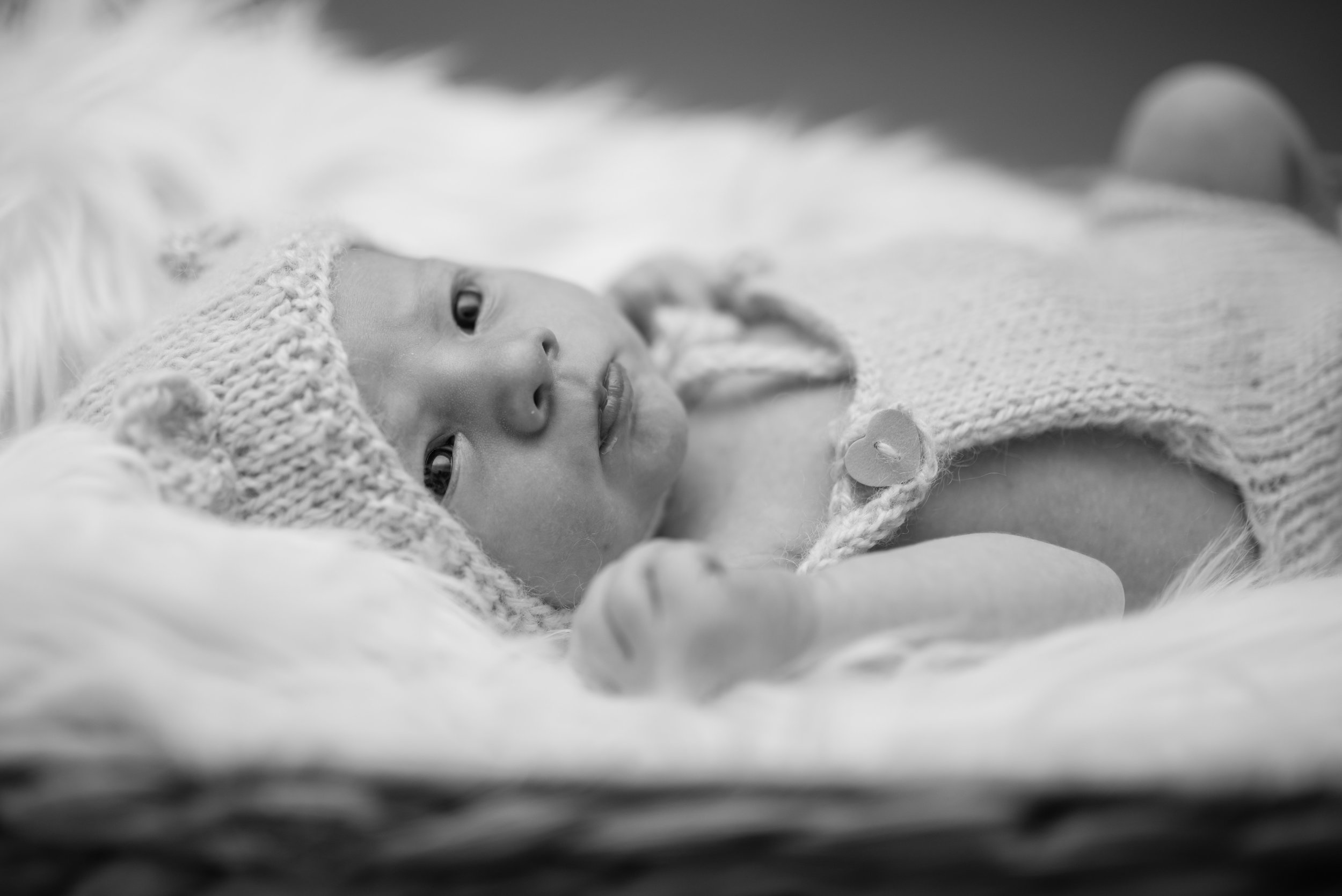 Annabelle & Harper