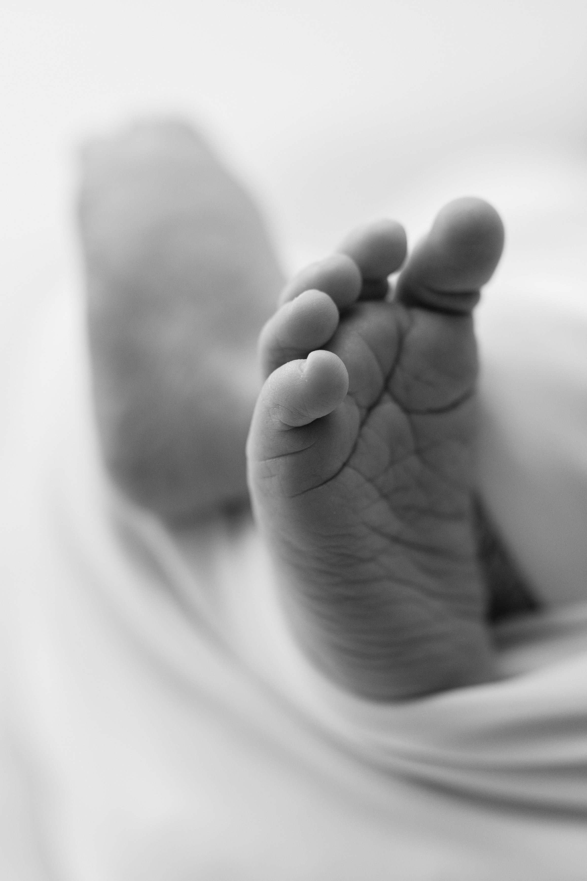 Ribble Valley newborn photographer