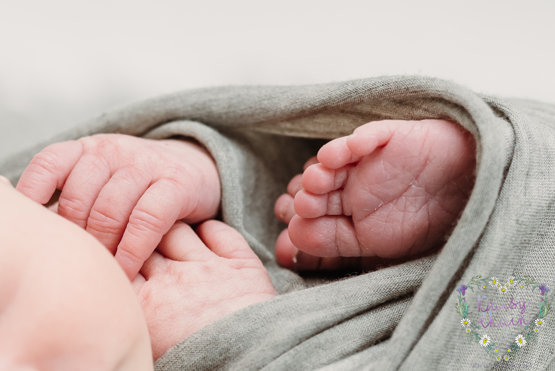 Newborn feet - feet detail