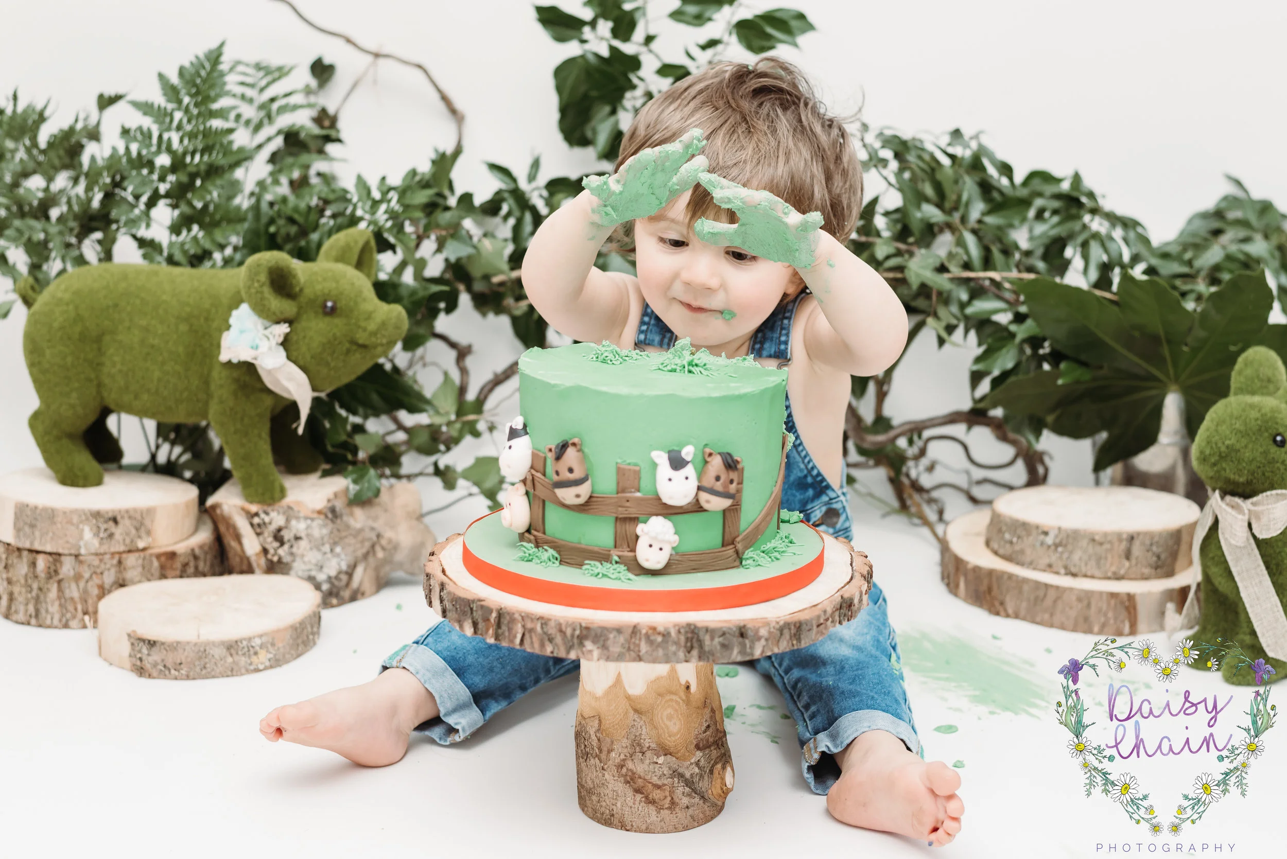 preston family photographer - cake smash