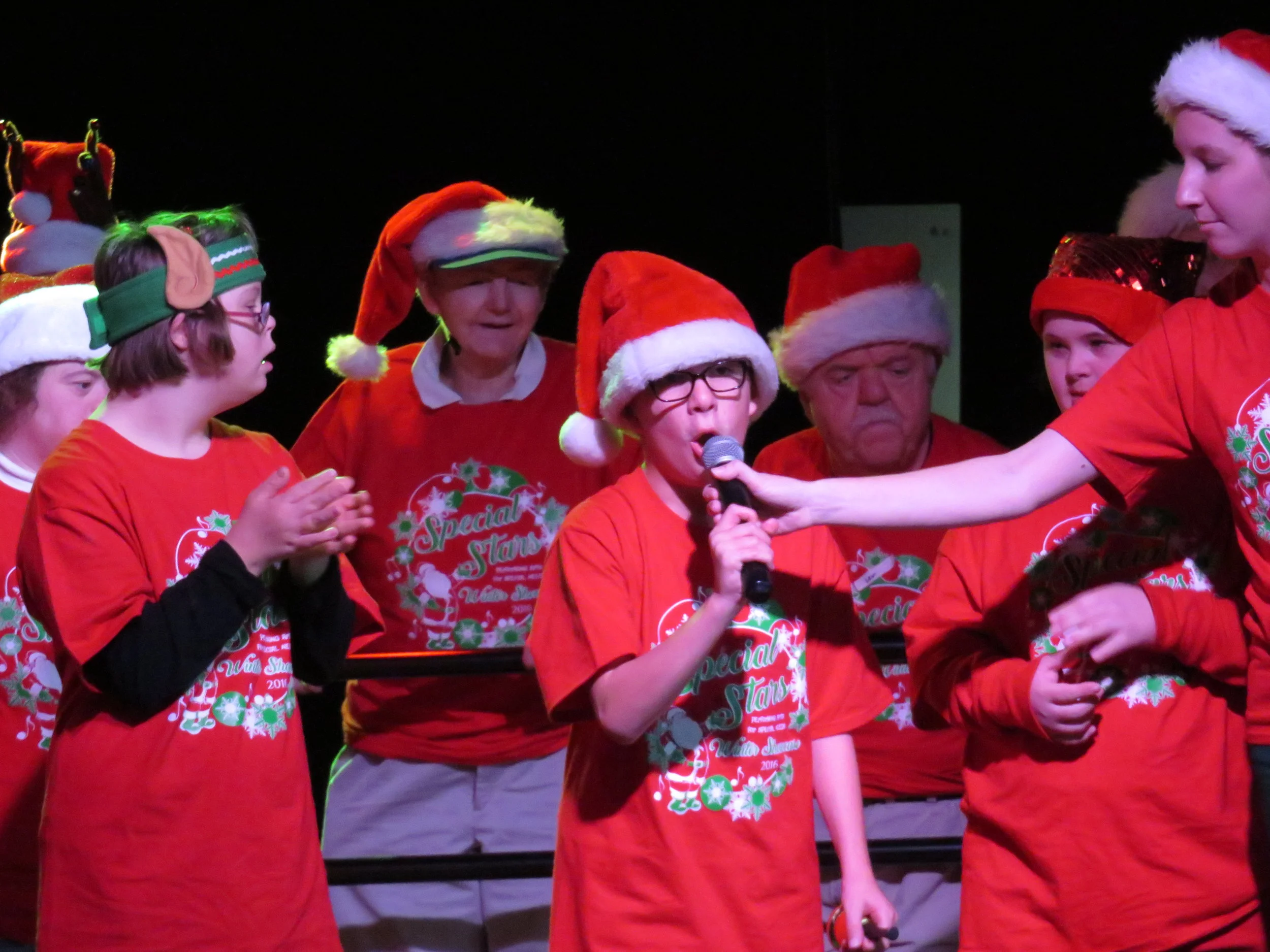 Sea Festival of Trees 2015