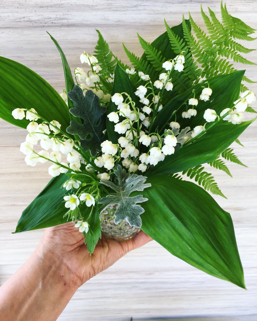Lilly of the Valley, ferns, Dusty Miller