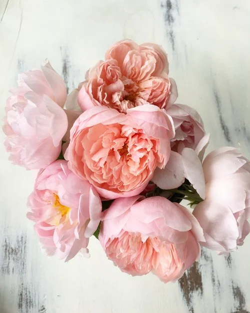 flowers2.jpg