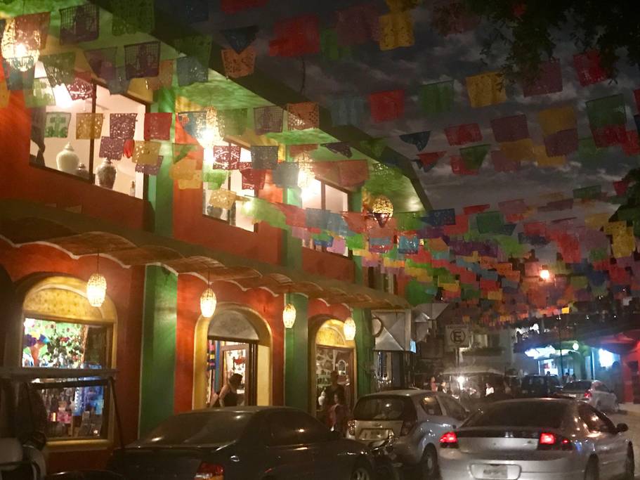  Restaurants and nightlife nearby in action packed Sayulita (15 mins by car) or charming San Pancho (8 mins by car) 
