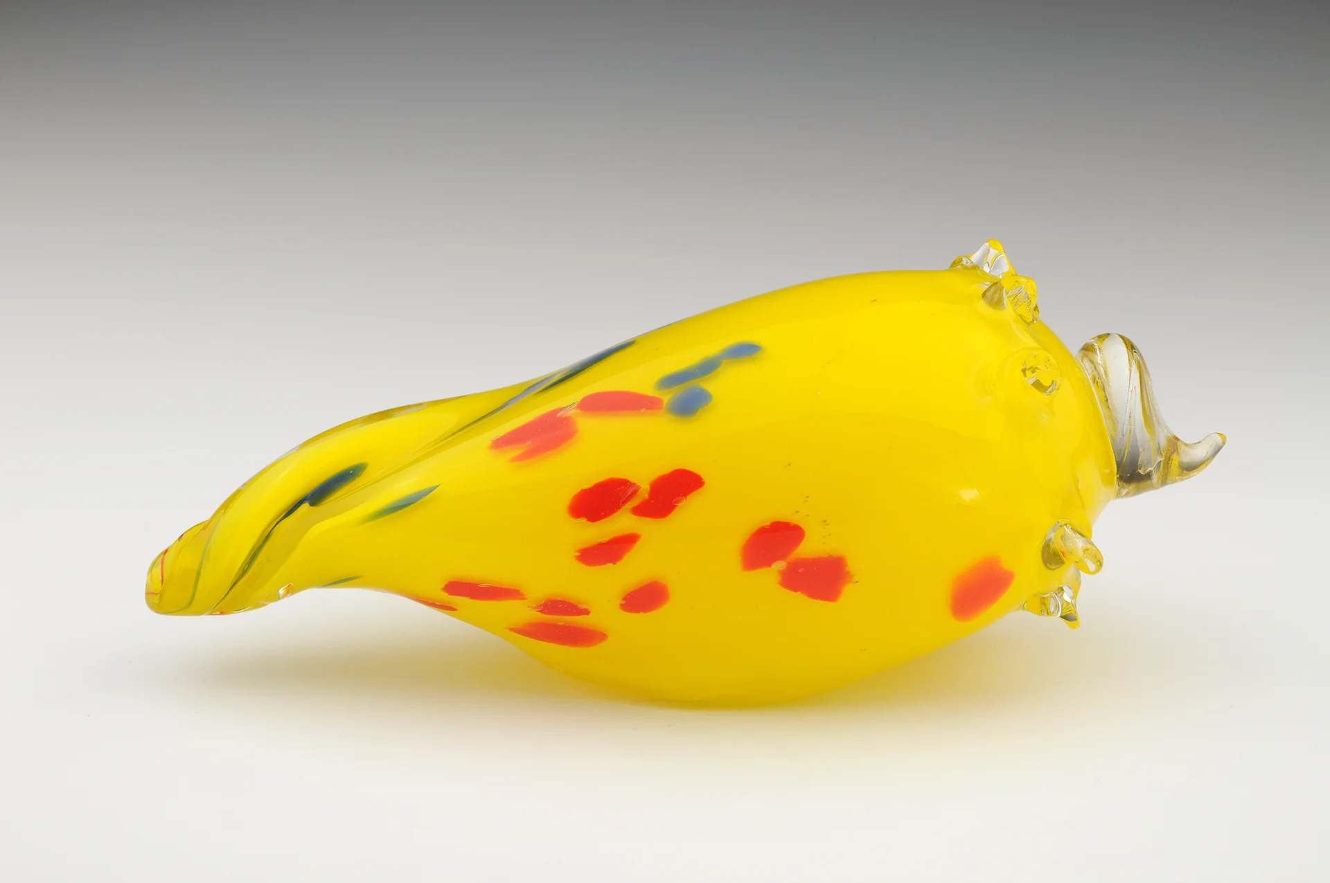 3b Yellow Shell.jpg