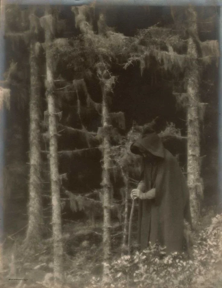 Witches' Wood by Bertrand H. Wentworth
