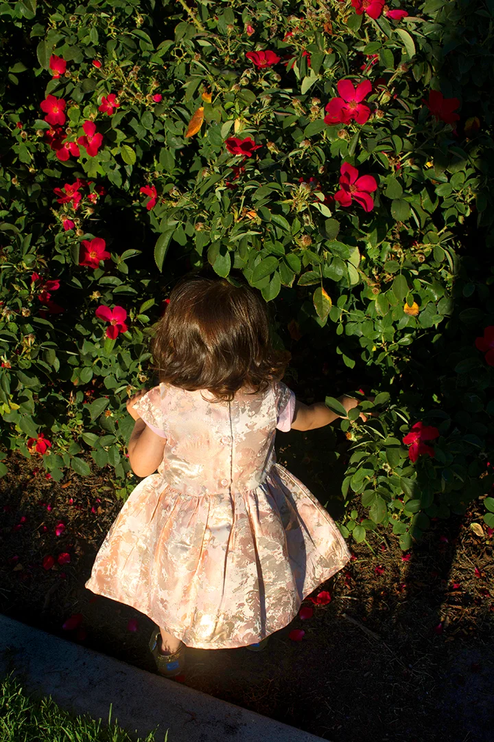 Image by Kelly Rodriguez