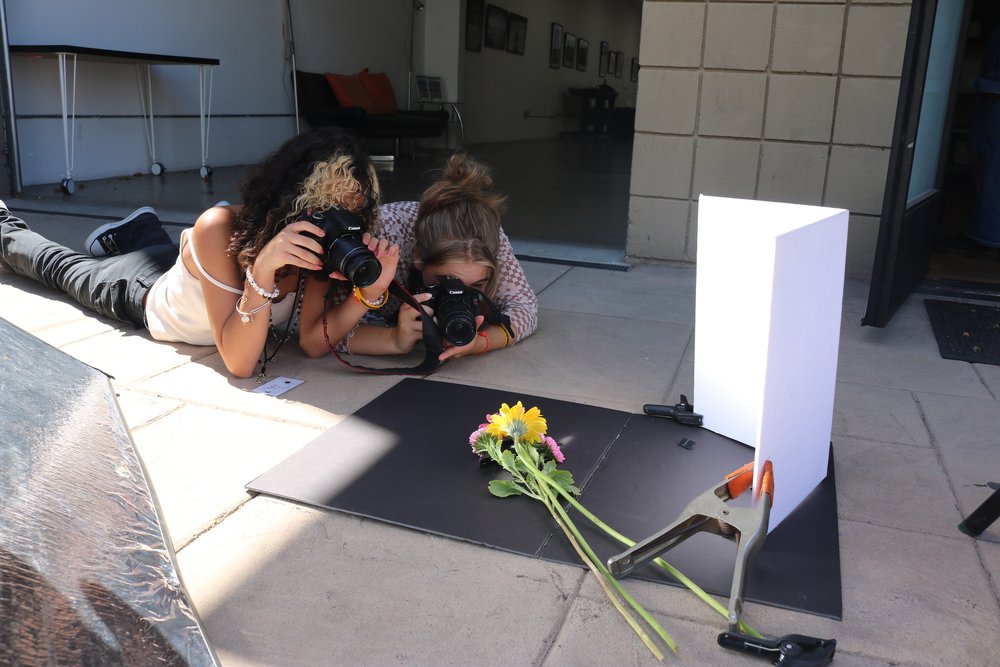  Getting the right angles to photograph using natural light. 