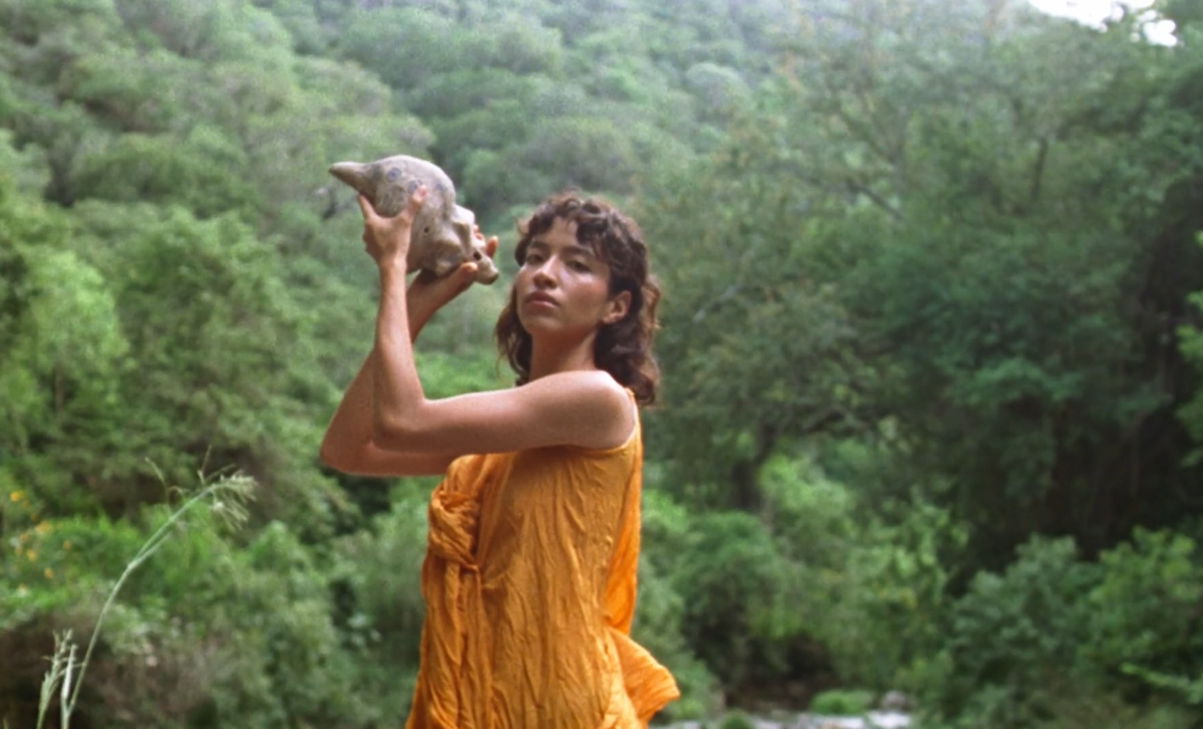 Captura de pantalla 2024-11-22 a la(s) 8.03.51 a.m..png