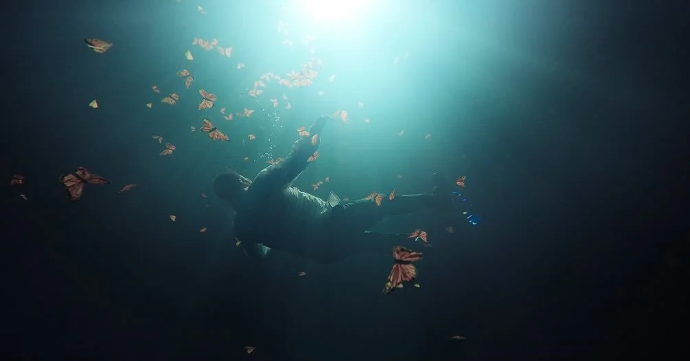 🌟 &iexcl;Ganamos el Premio Apertura por mejor Fotograf&iacute;a en Documental! 🌟

Director - @emilianoruprah 
Productor - @peninsula.films @lalodiazcasanova @luna_lunerica 
AD - Juan Pablo Camargo
Segunda unidad y cam B - @selenegb 
Phantom - Nicho