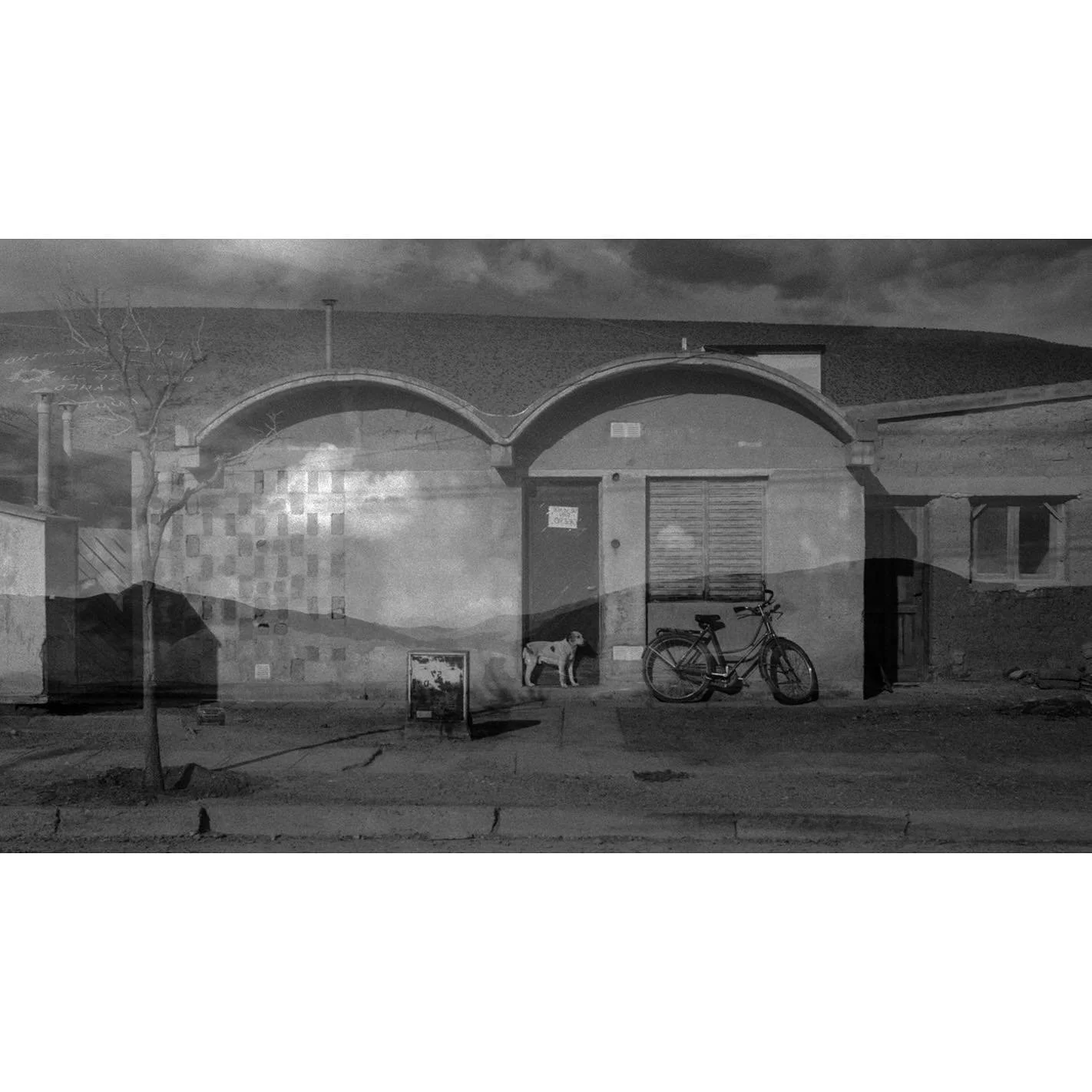 .
.
.
.
.
#portrait #myfeatureshoot #film #visual #xaviercunilleras #cinematography #cinematic #visualstorytelling