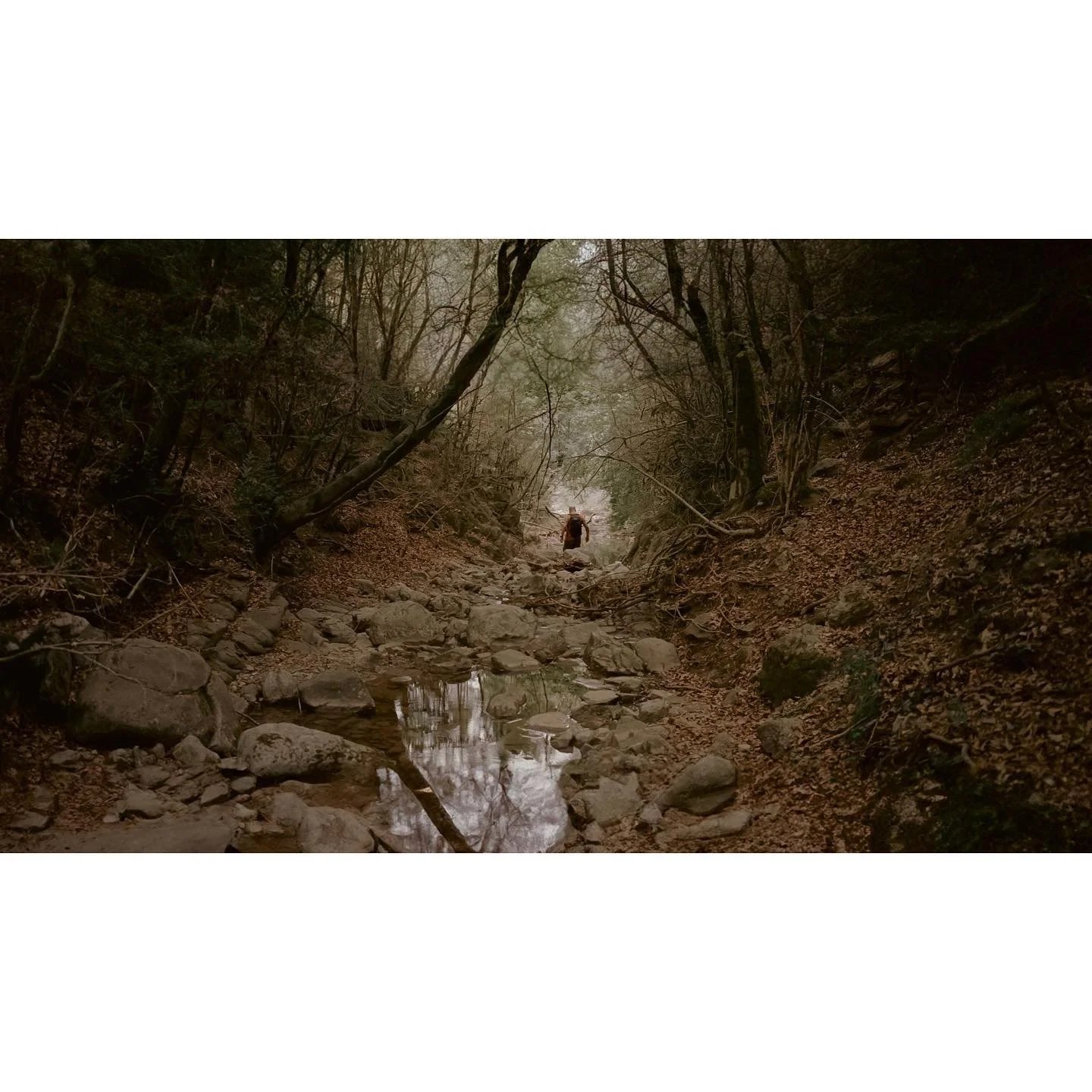 .
.
.
.
.
#lensculture #landscape #myfeatureshoot #portrait #film #visual #moodygrams #cinebible #thinkverylittle
#xaviercunilleras #cinematic #visualstorytelling