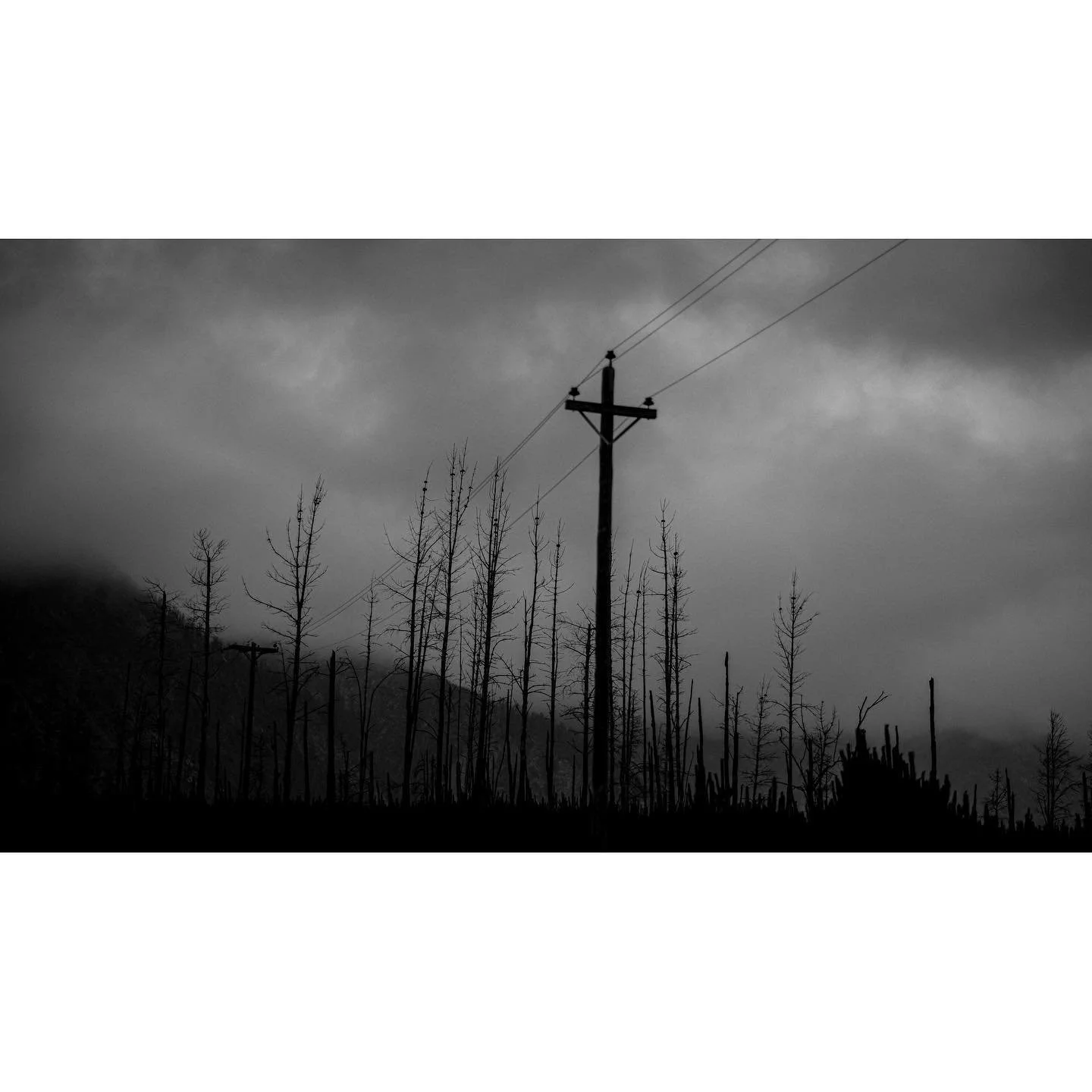 .
.
.
.
.
.
#fog #cinematography #35mm #flavor #filmisnotdead #film #moodygrams #cinebible #burnmagazine #verybusymag #lensculture #thinkverylittle