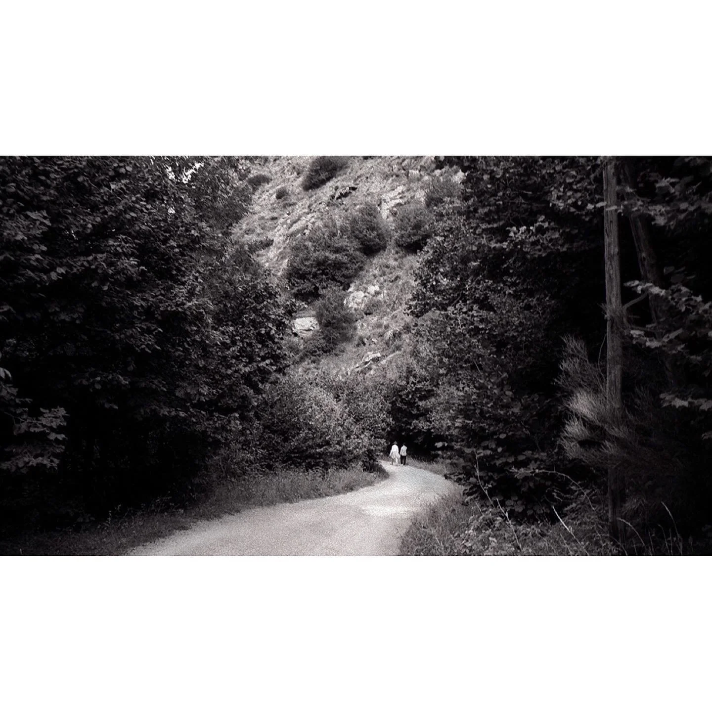 .
.
.
.
.
.
#shootonfilm #ilfordfilm #visual #cerdanya #moodygrams #thinkverylittle