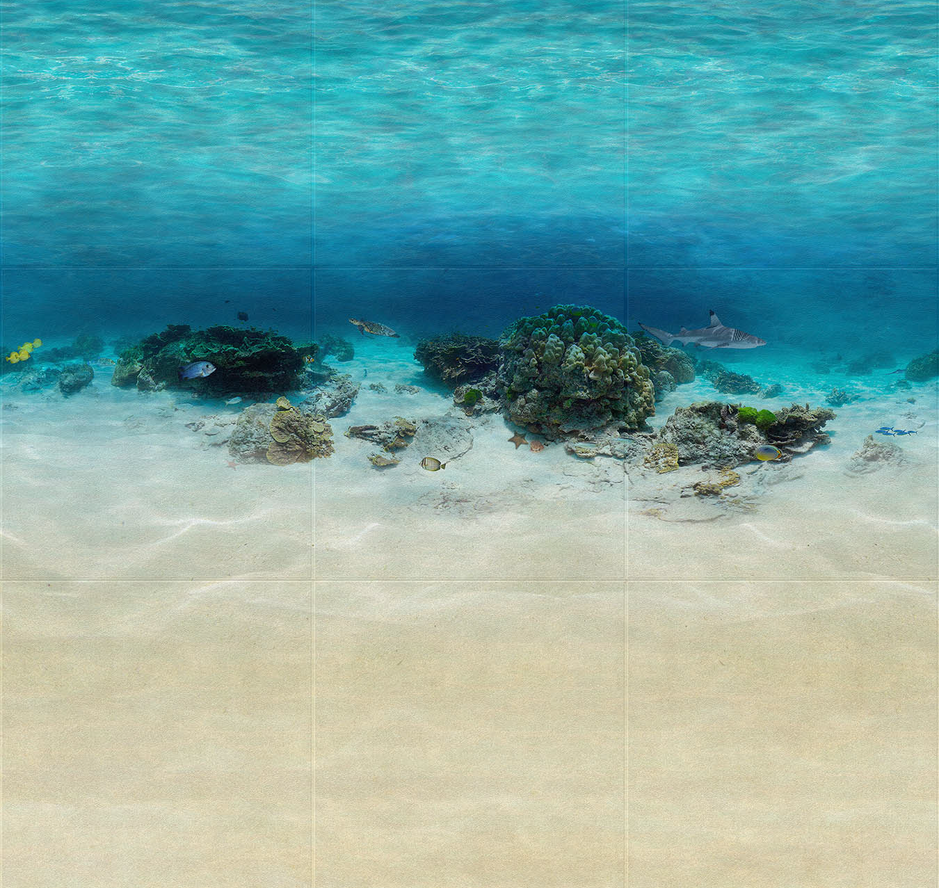 ocean reef.png