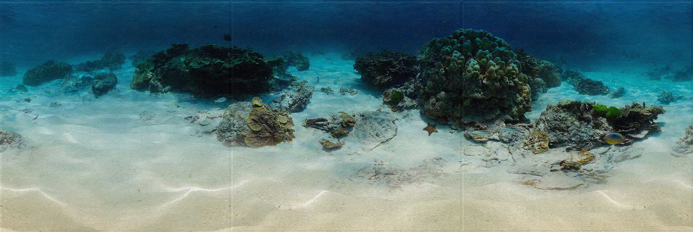 reef 1x3.png