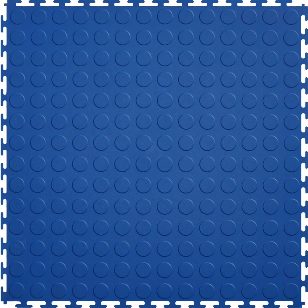 Blue Coin.jpg