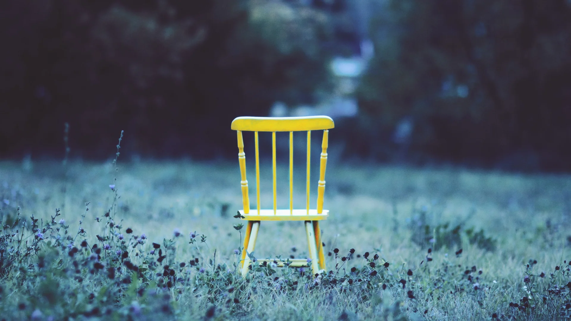 chair_field_grass_flowers_minimalism_108419_1920x1080.jpg