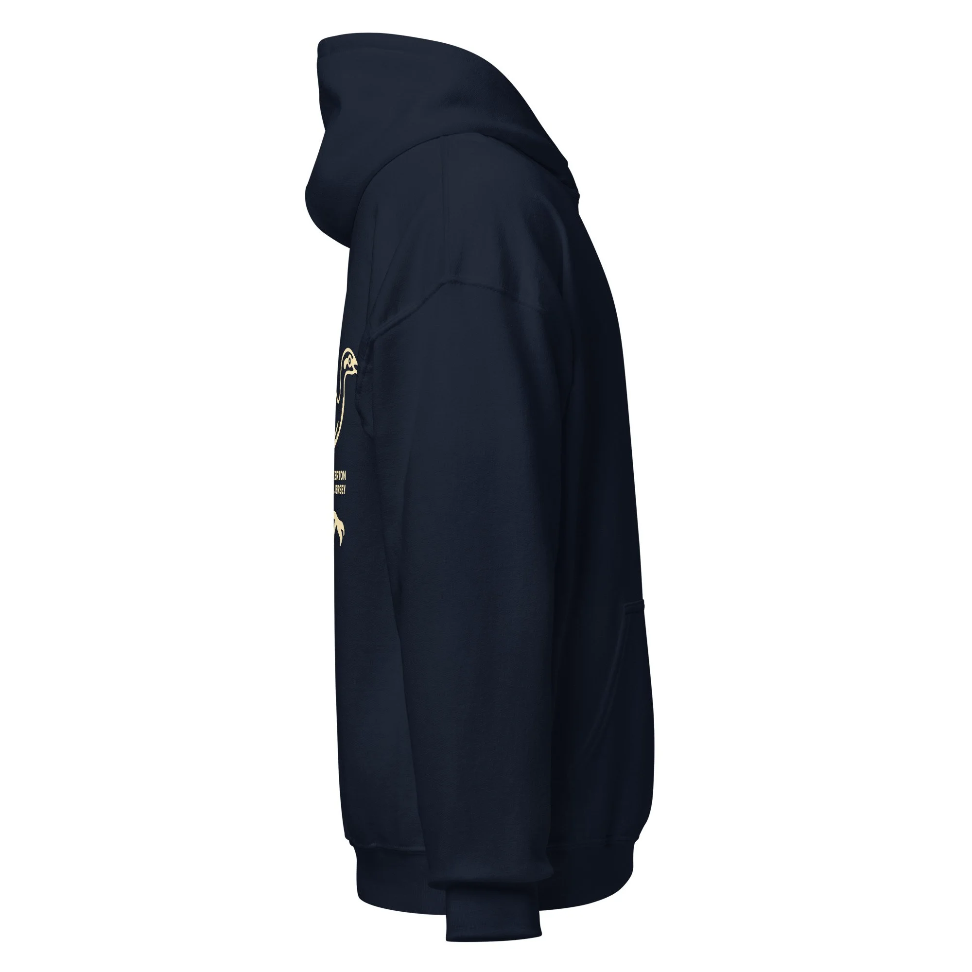 unisex-heavy-blend-hoodie-navy-right-6921109977a54.jpg