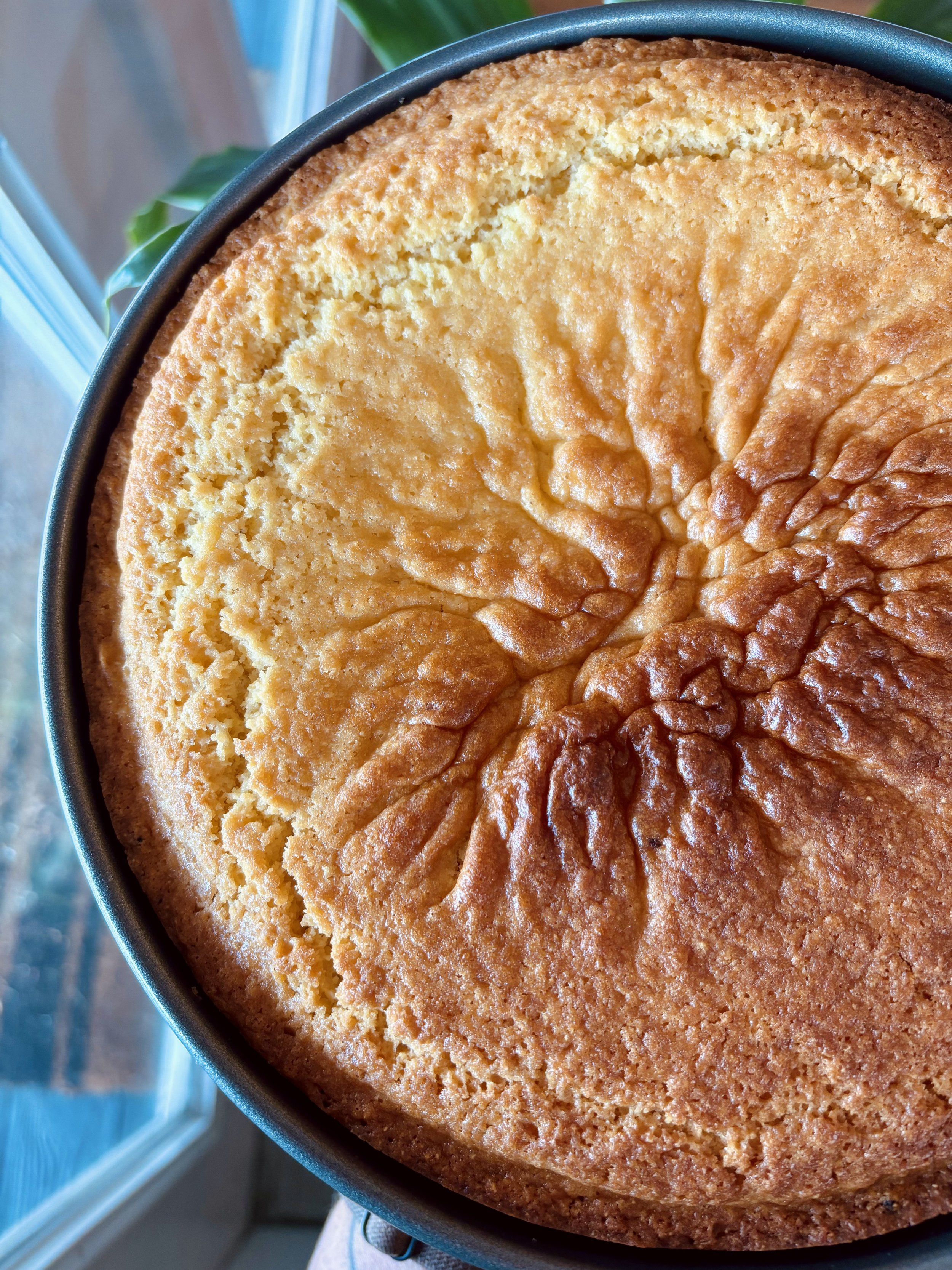 Sweet Cornbread Cake