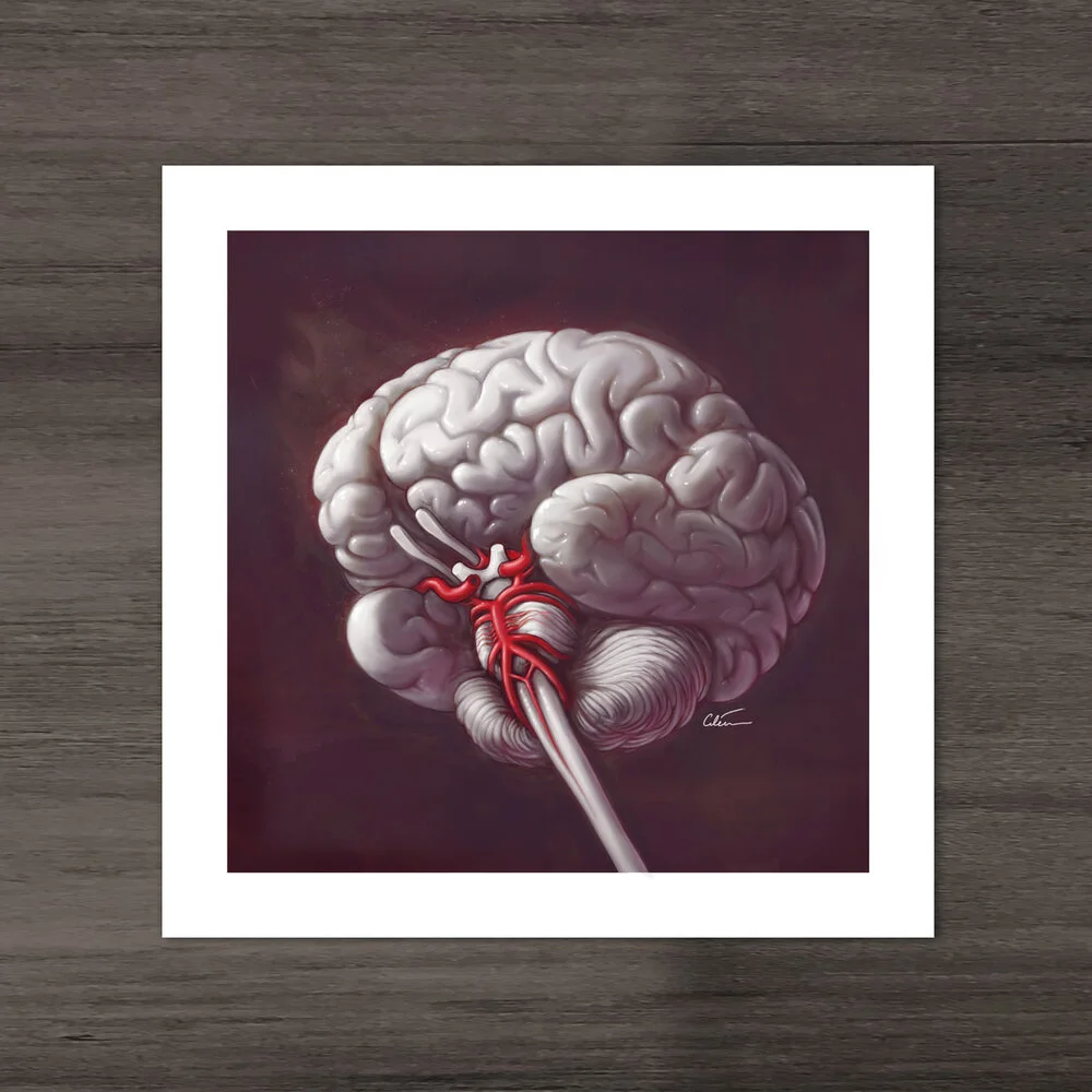 Brain circle of Willis anatomy print preview v02.jpg