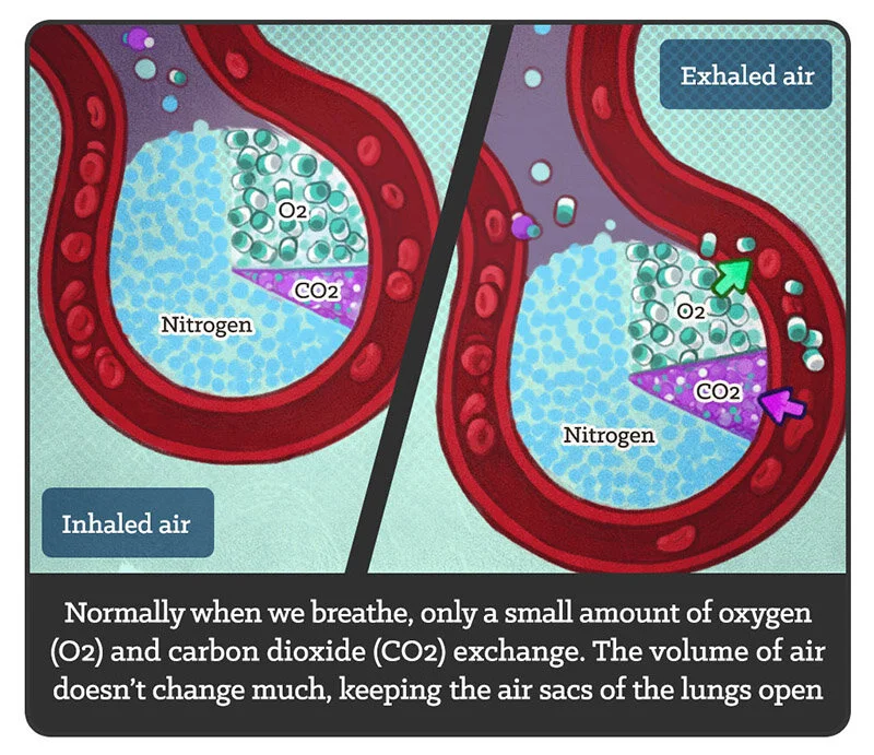 How much oxygen do we really need? — artibiotics