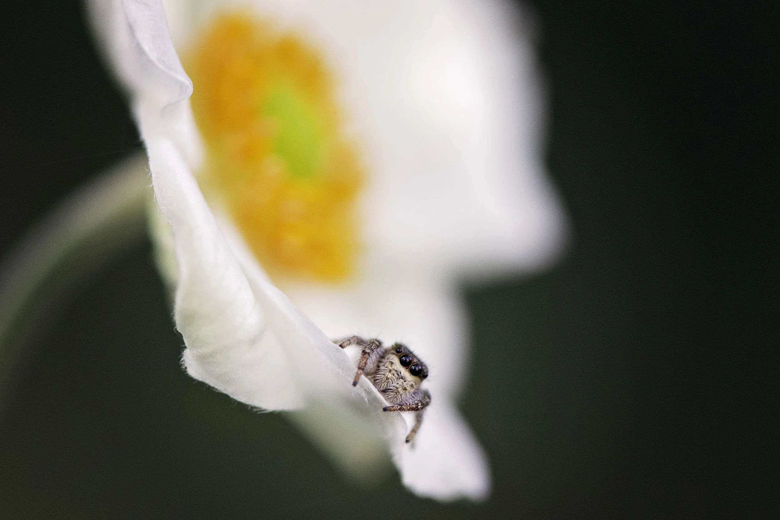 DSC_3414.jpg