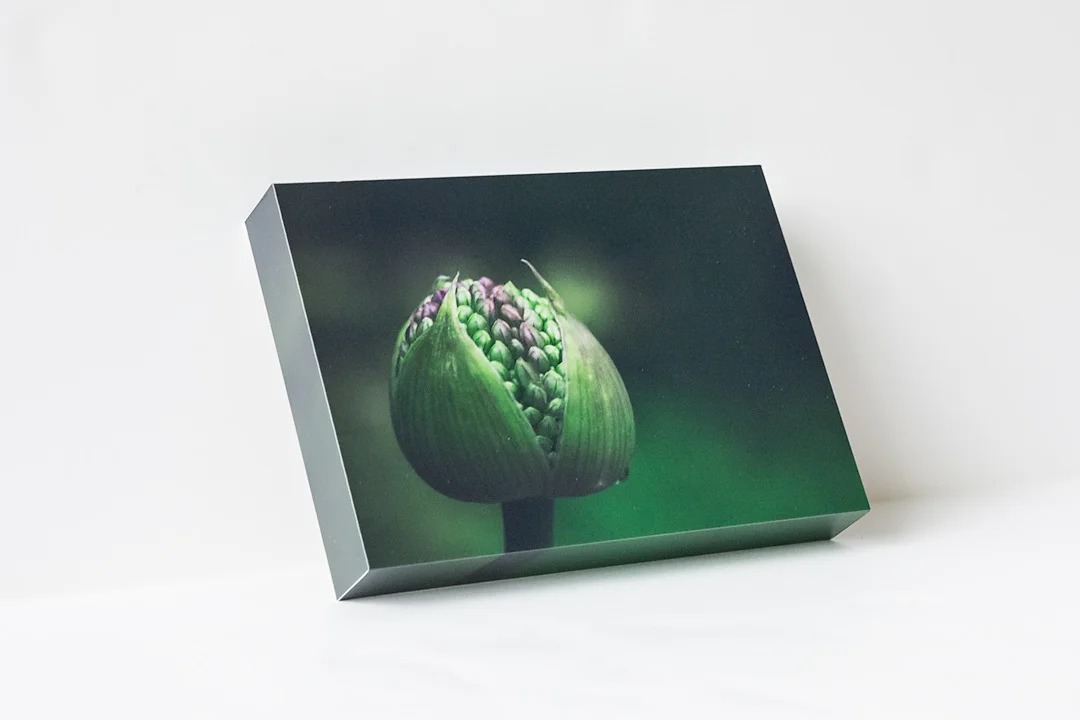 Allium Bloom Side.jpg