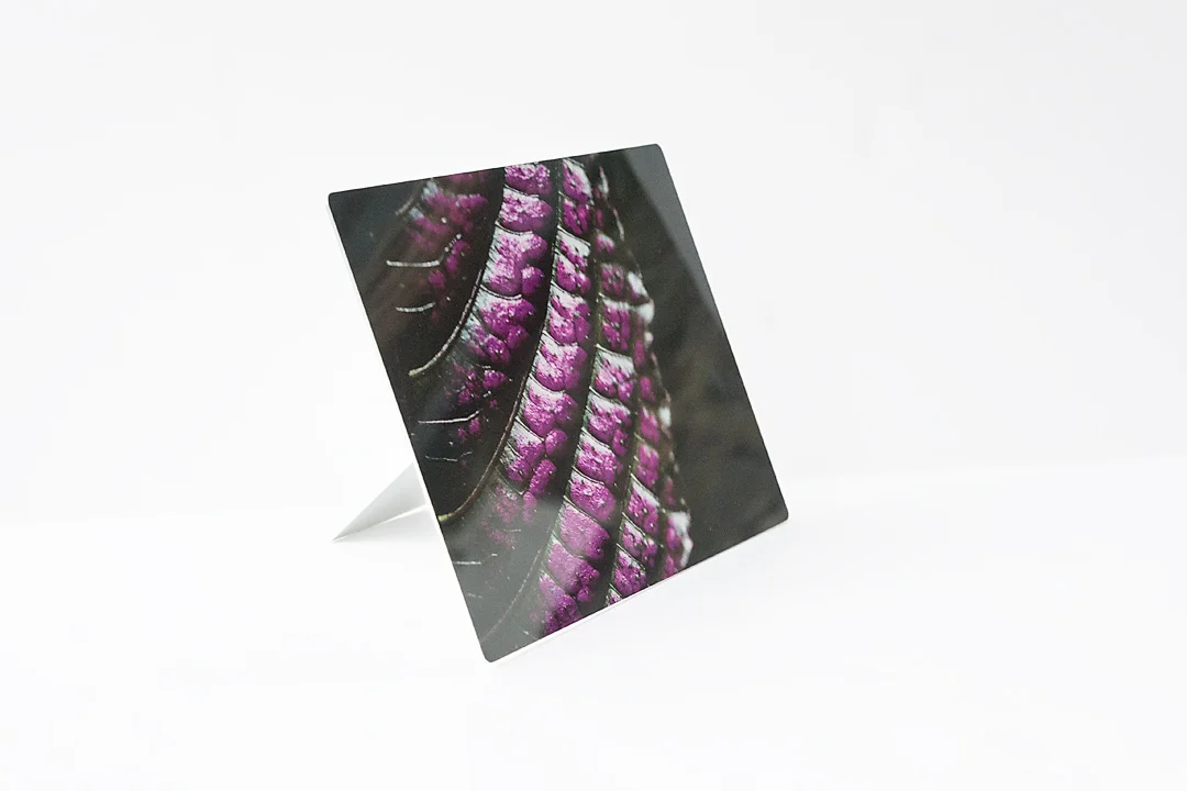 Purple Shield Side Metal.jpg