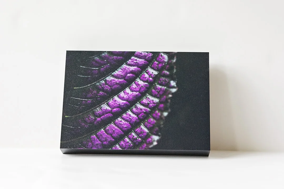 Purple Shield Front.jpg