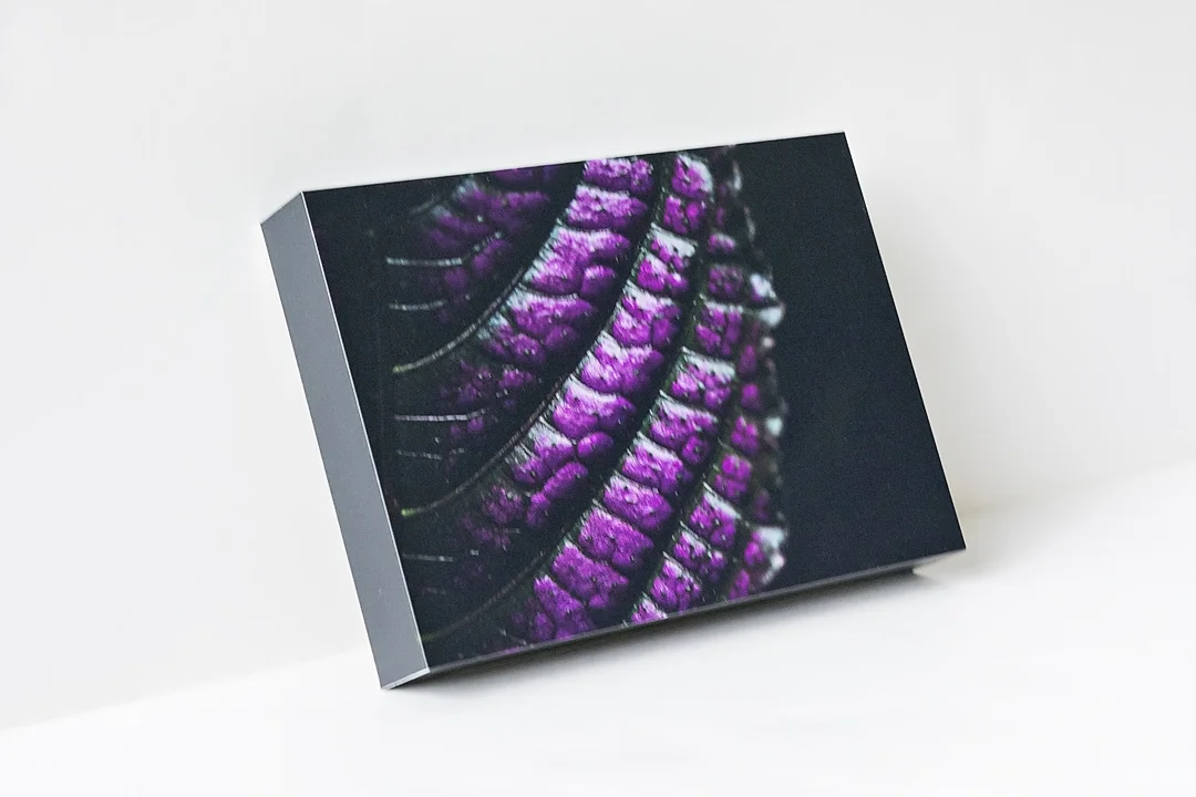 Purple Shield Side.jpg