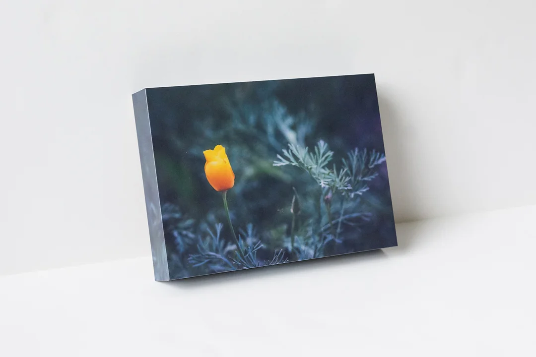 Orange Poppy Side.jpg