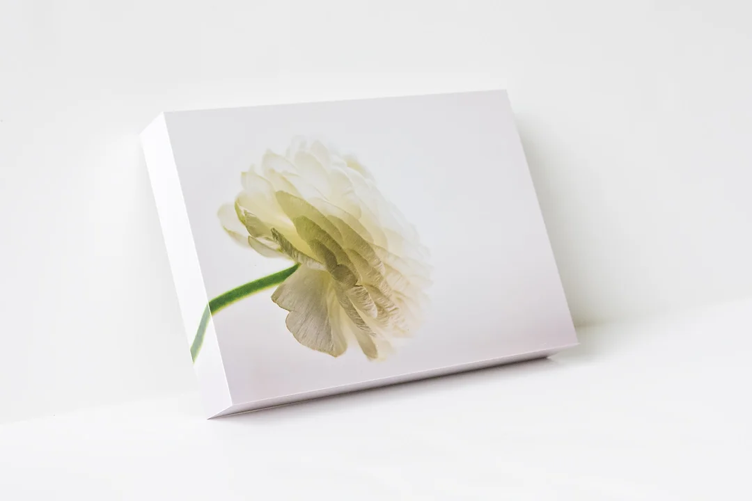 White Ranunculus Side.jpg