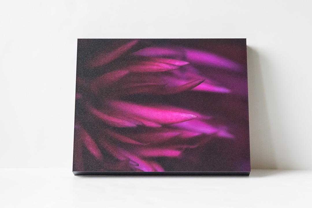 Pink Petals Front.jpg