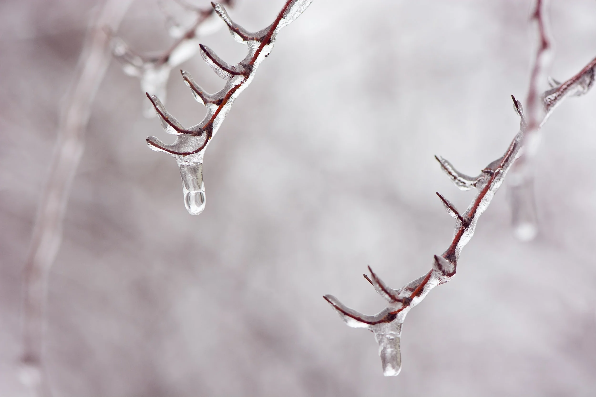 LisaBriand_Drips_Photography_8x12_100.jpg