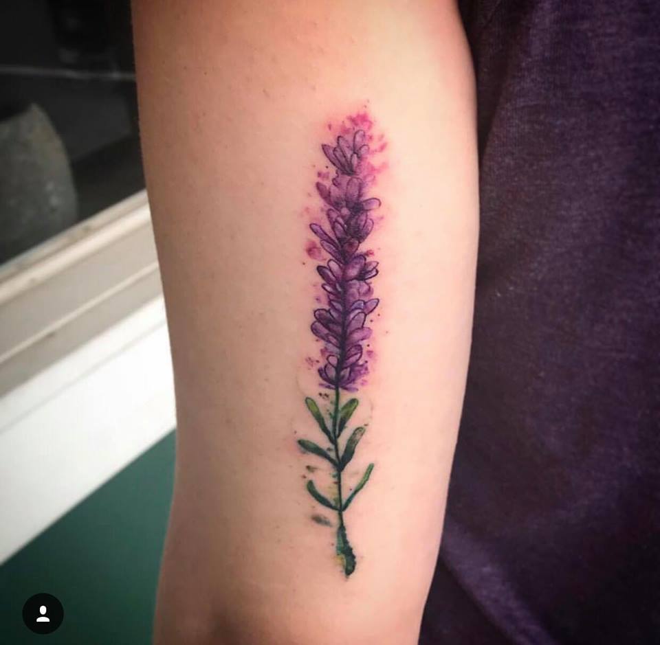Heather and other wild flowers Representing life