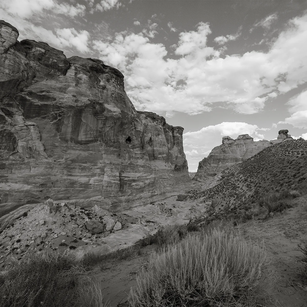 2020 Petit Verdot (Sold Out)