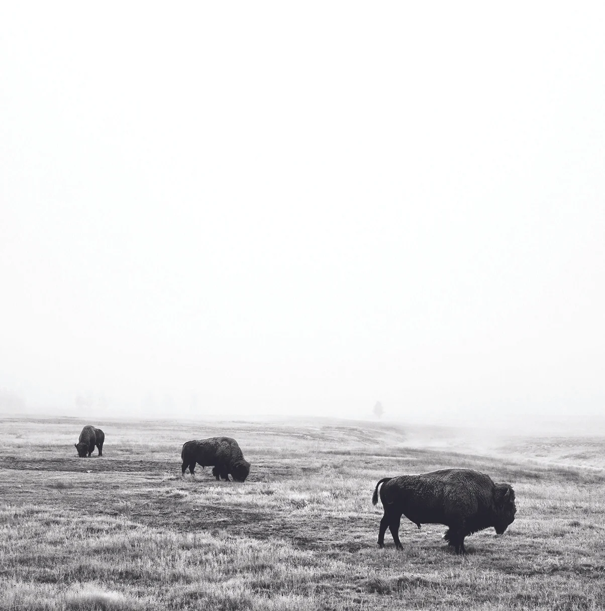 2022 Chardonnay, Conner Lee Vineyard